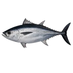 Transparent PNG of the GTA V item tuna_2