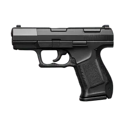 Transparent PNG of the GTA V item walter_p99