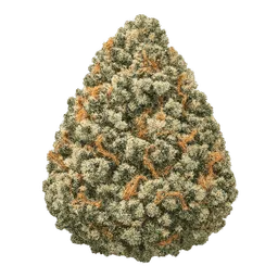 Transparent PNG of the GTA V item weed_bud_2