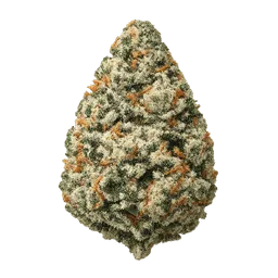 Transparent PNG of the GTA V item weed_knolle