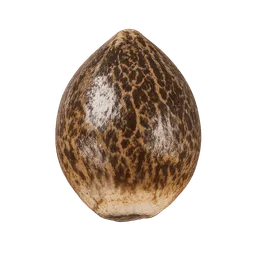 Transparent PNG of the GTA V item weed_seed_1