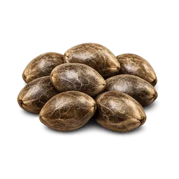 Transparent PNG of the GTA V item weed_seed_2
