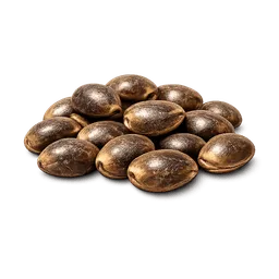 Transparent PNG of the GTA V item weed_seed_3