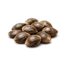 Transparent PNG of the GTA V item weed_seed_4