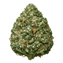 Transparent PNG of the GTA V item wet_weed