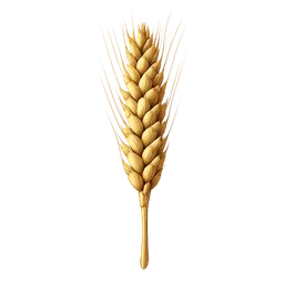 Transparent PNG of the GTA V item wheat_2