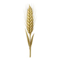 Transparent PNG of the GTA V item wheat_4