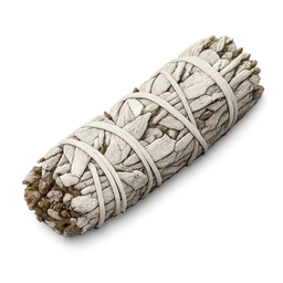 Transparent PNG of the GTA V item white_sage_smudge_stick