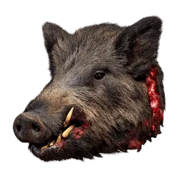 Transparent PNG of the GTA V item wildschweinkopf
