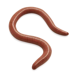 Transparent PNG of the GTA V item worm_bait