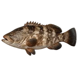 Transparent PNG of the GTA V item zackenbarsch_fisch