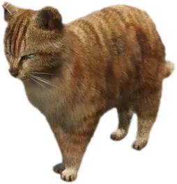 Transparent PNG of the GTA V ped a_c_cat_01