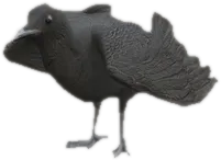 Transparent PNG of the GTA V ped a_c_crow