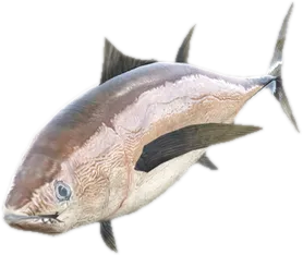 Transparent PNG of the GTA V ped a_c_fish