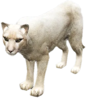 Transparent PNG of the GTA V ped a_c_mtlion