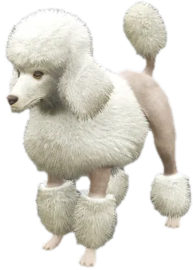 Transparent PNG of the GTA V ped a_c_poodle