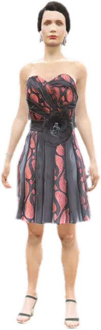 Transparent PNG of the GTA V ped cs_gurk