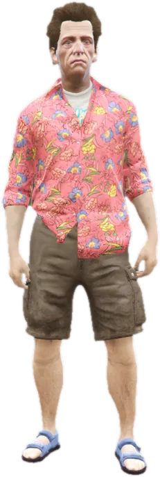 Transparent PNG of the GTA V ped csb_money