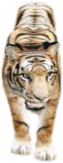 Transparent PNG of the GTA V ped ft_bengala