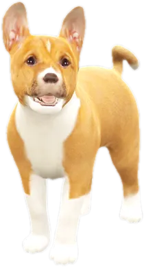 Transparent PNG of the GTA V ped nw_basenjipuppy