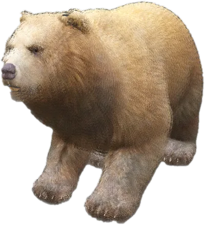 Transparent PNG of the GTA V ped nw_bear