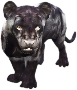 Transparent PNG of the GTA V ped nw_blackjaguarcup
