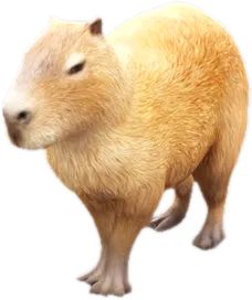 Transparent PNG of the GTA V ped nw_capybara