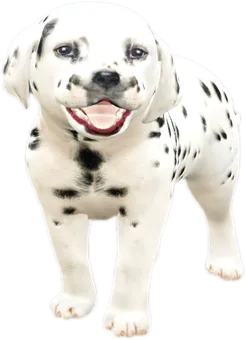 Transparent PNG of the GTA V ped nw_dalmatianpuppy