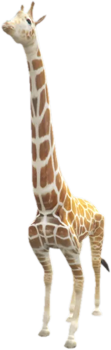 Transparent PNG of the GTA V ped nw_giraffe_1