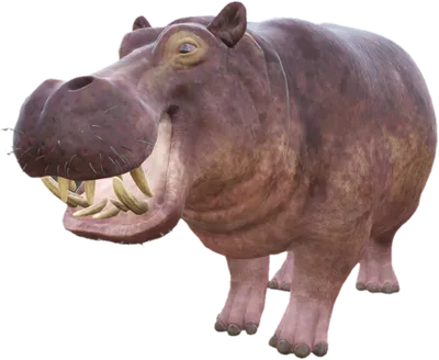 Transparent PNG of the GTA V ped nw_hippo