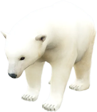 Transparent PNG of the GTA V ped nw_icebear