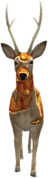 Transparent PNG of the GTA V ped nw_infected_deer