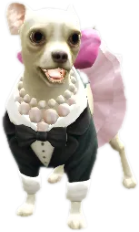 Transparent PNG of the GTA V ped nw_kunigunde_1
