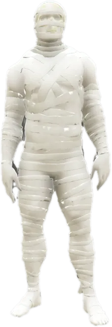 Transparent PNG of the GTA V ped nw_mummy