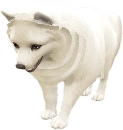 Transparent PNG of the GTA V ped nw_pomeranianspitz
