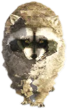 Transparent PNG of the GTA V ped nw_raccoon