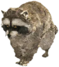 Transparent PNG of the GTA V ped nw_raccoon_1