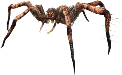 Transparent PNG of the GTA V ped nw_spider