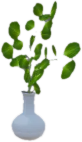 Transparent PNG of the GTA V prop ate_dining1_plant_c