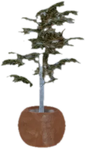 Transparent PNG of the GTA V prop ate_dining1_plant_e