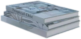 Transparent PNG of the GTA V prop ate_lounge1_books_c
