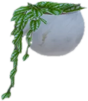 Transparent PNG of the GTA V prop ate_lounge1_plant_h