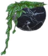 Transparent PNG of the GTA V prop ate_lounge1_plant_i