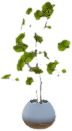 Transparent PNG of the GTA V prop ate_lounge1_plant_j