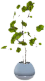 Transparent PNG of the GTA V prop ate_lounge1_plant_k