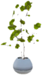 Transparent PNG of the GTA V prop ate_lounge1_plant_n