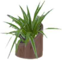 Transparent PNG of the GTA V prop ate_lounge1_plant_o