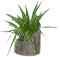 Transparent PNG of the GTA V prop ate_lounge1_plant_q