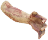 Transparent PNG of the GTA V prop ch_prop_collectibles_limb_01a