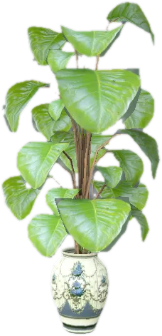 Transparent PNG of the GTA V prop p_int_jewel_plant_02